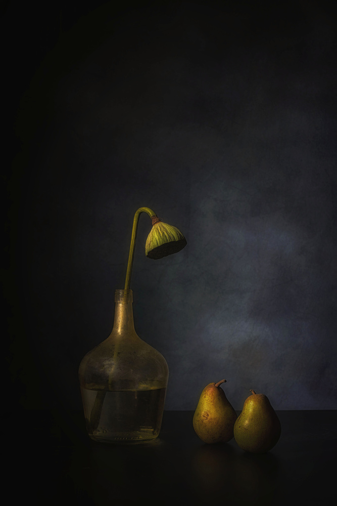 Oktober feelings von Saskia Dingemans