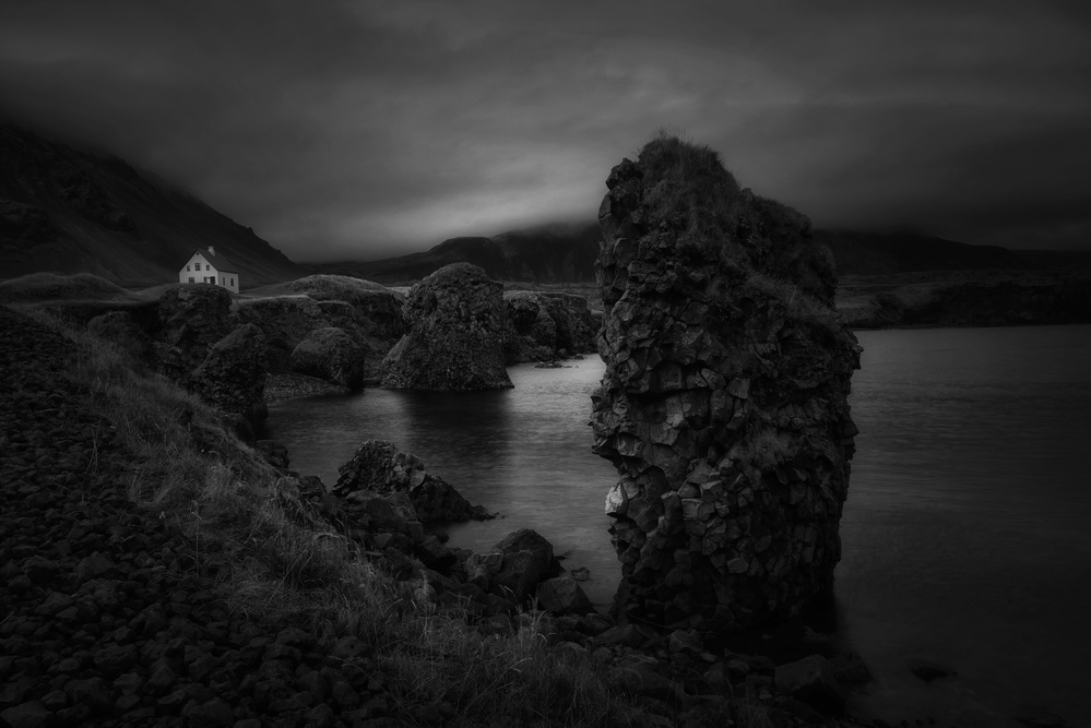 Shades in black von Saskia Dingemans