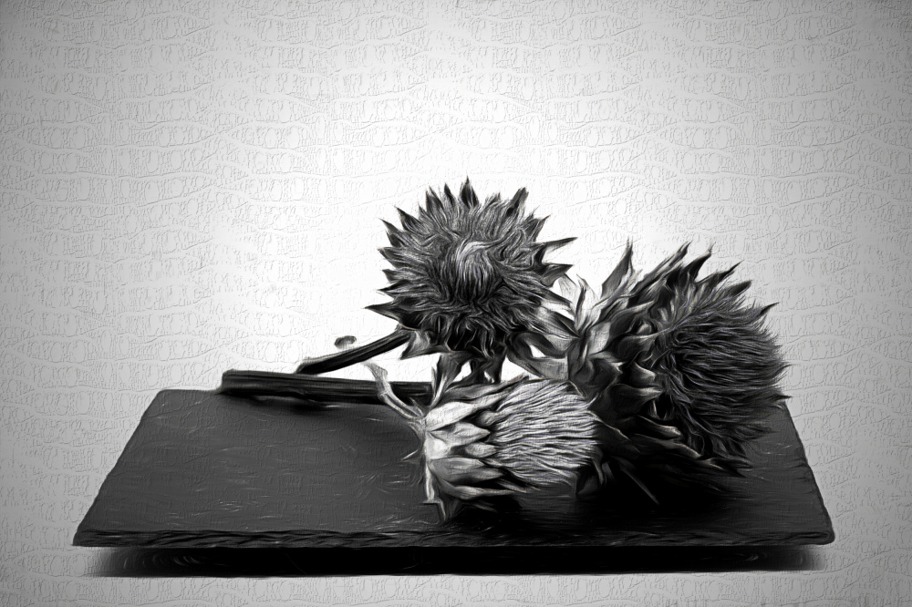 Black artichoke . von Saskia Dingemans