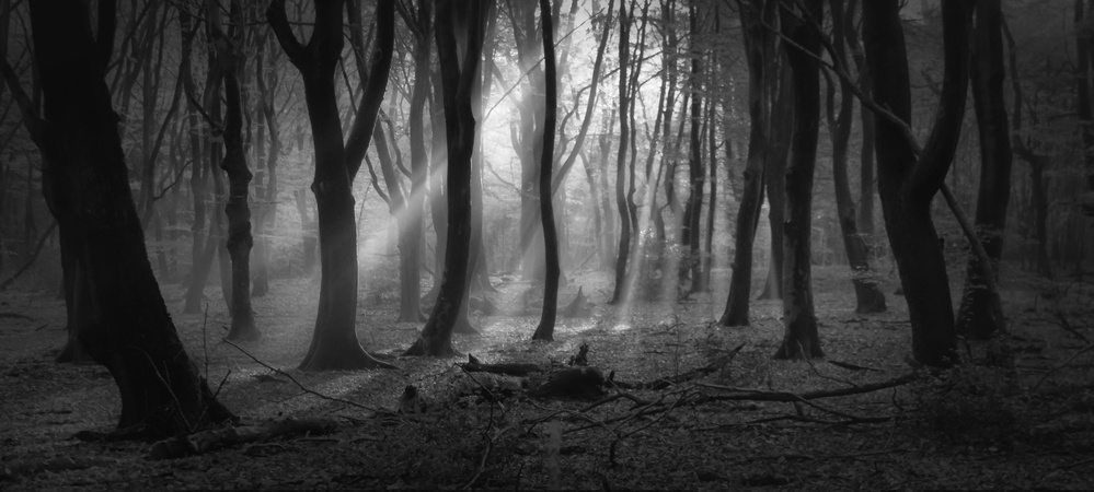 Black Magic von Saskia Dingemans