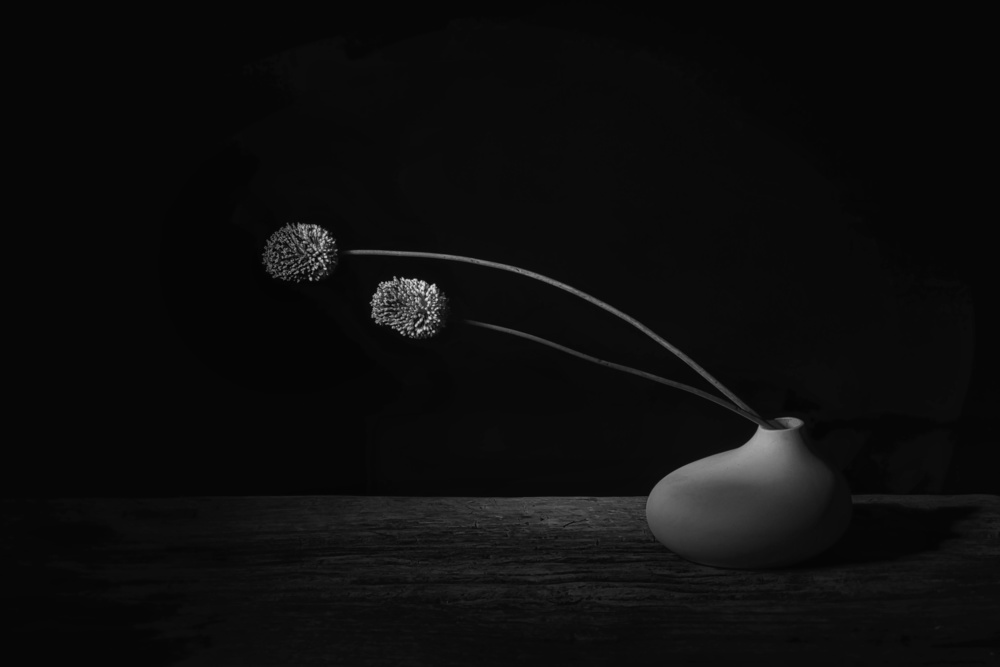 Black velvet von Saskia Dingemans