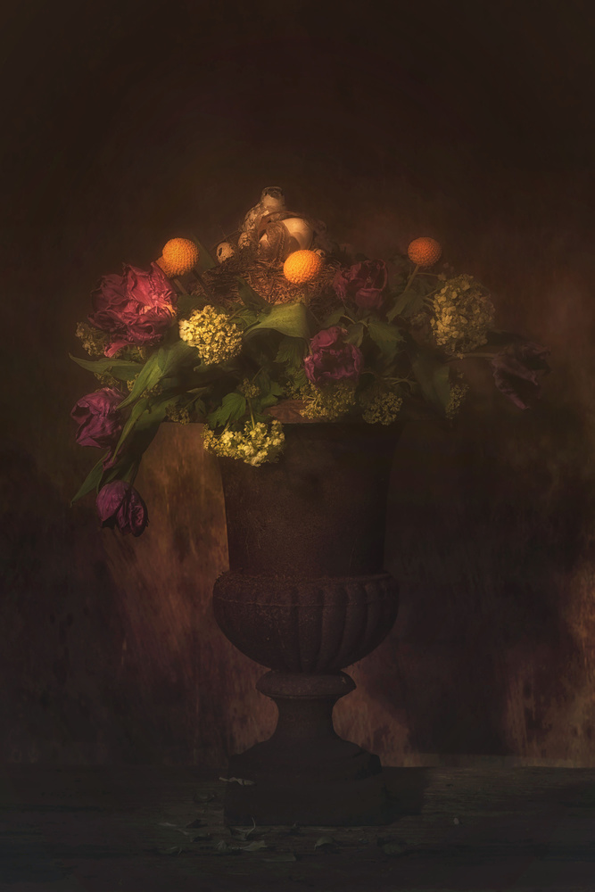 Bird on the nest von Saskia Dingemans