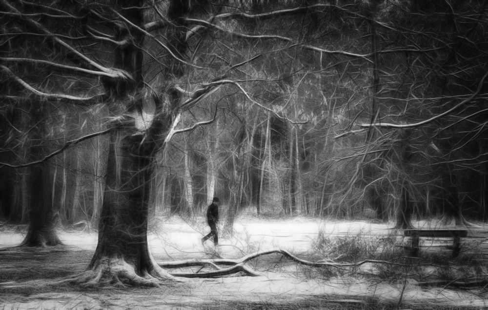 Wintertime von Saskia Dingemans