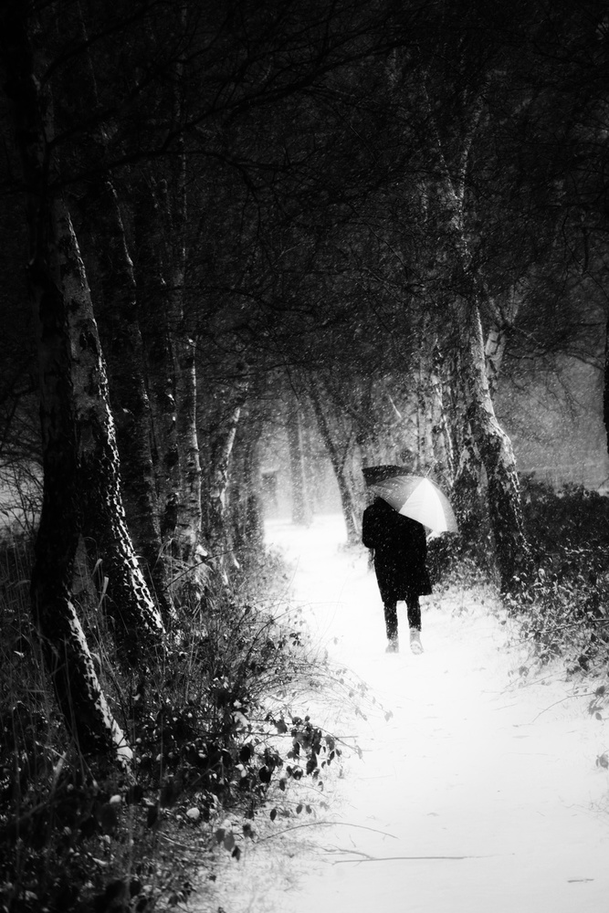 Winterland von Saskia Dingemans