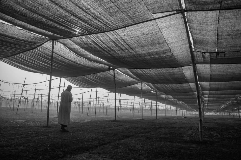 Devotion von Saud A Faisal