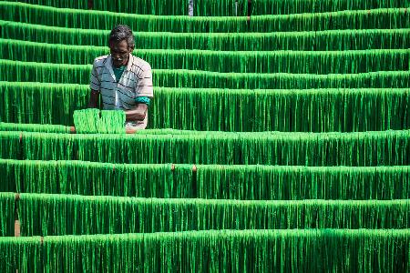 Drying Jute