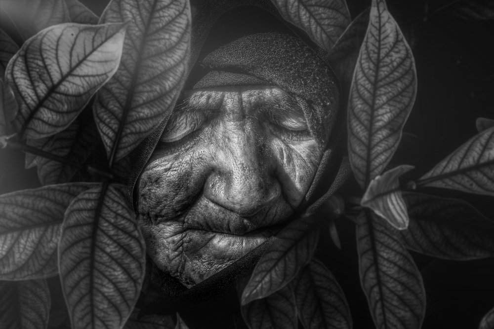 Drowned in desire von Sayed Habib Bidell