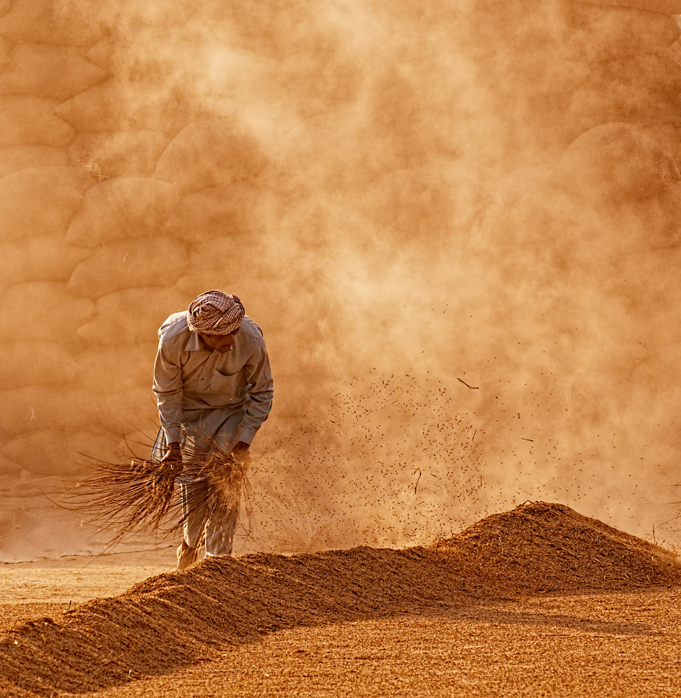 Brooming von Sayyed Nayyer Reza