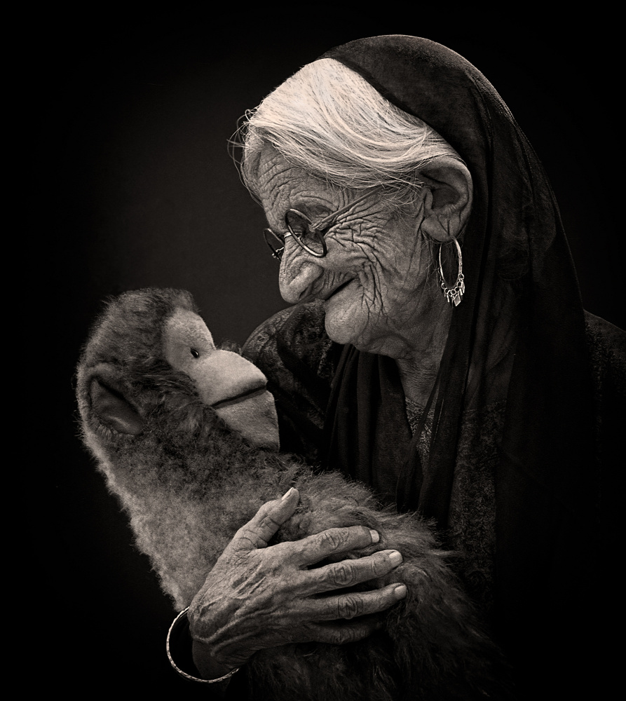 Companions von Sayyed Nayyer Reza