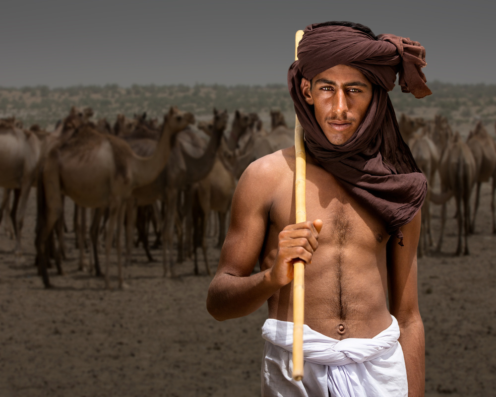 Herder von Sayyed Nayyer Reza