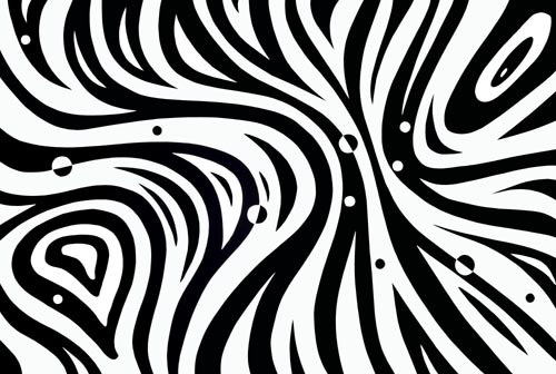 Weltraumzebra Nr.1 von Heike Schenk Arena