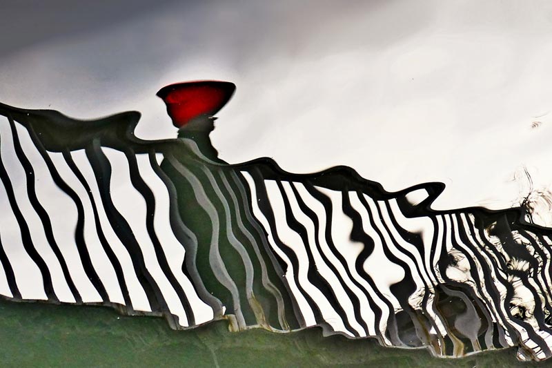 Man trägt wieder Hut von Hella  Schümann