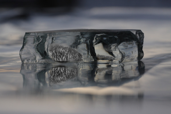 Kleine Baeume von Hella  Schümann