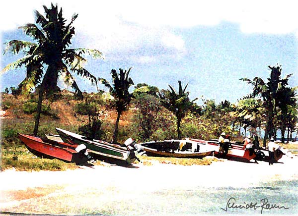 Fischertreiben von Jürgen Schmidt-Raven