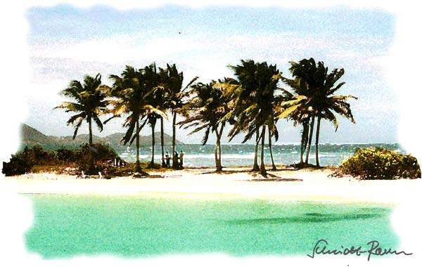 Palmenstrand von Jürgen Schmidt-Raven