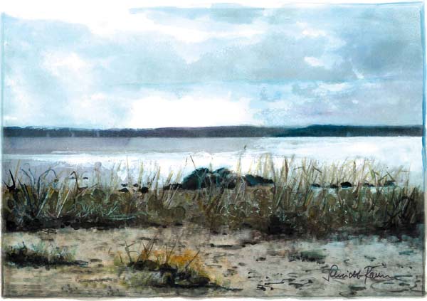 Steine und Strandhafer von Jürgen Schmidt-Raven