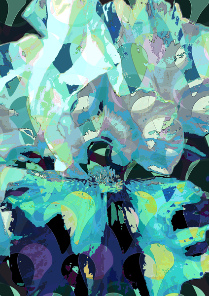 Iris von Scott J. Davis