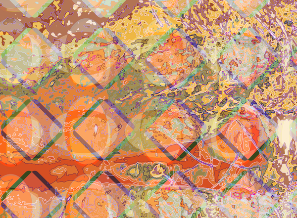 Ocean Forest von Scott J. Davis