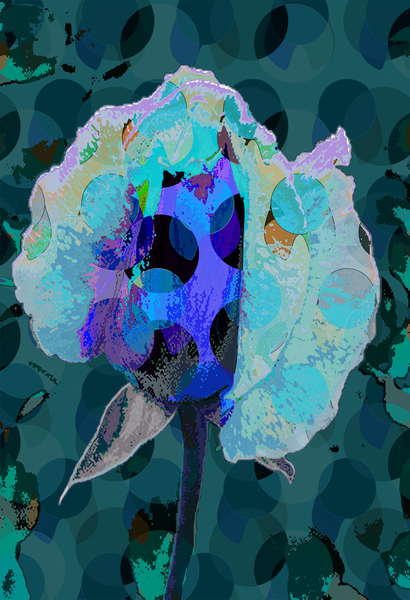 Tea Rose 5B von Scott J. Davis