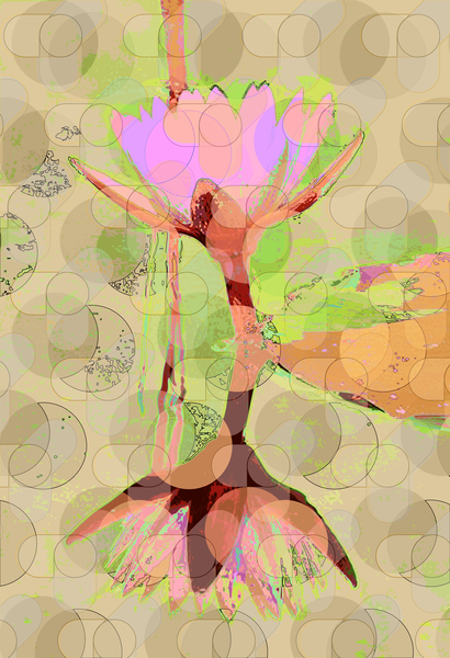 Water Lily Reflection von Scott J. Davis