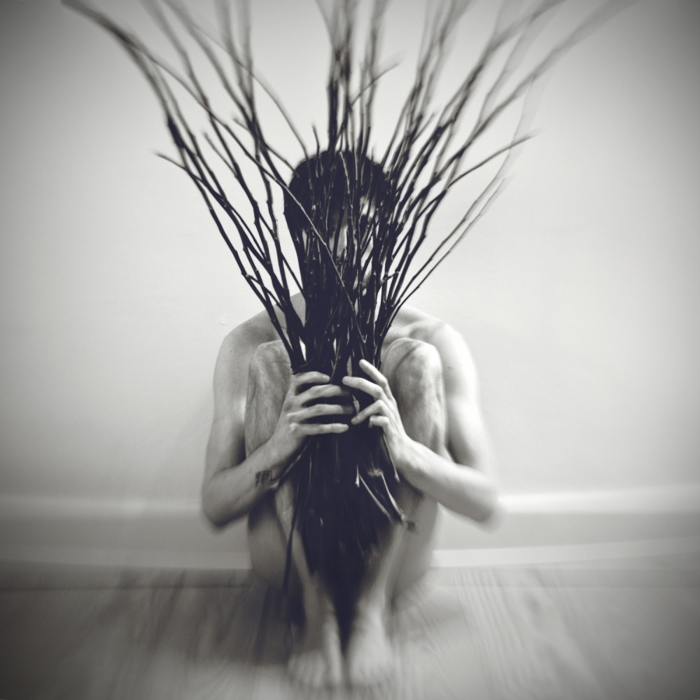 Growth von Sebastian-Alexander Stamatis