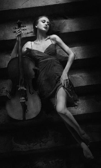 The Cellist