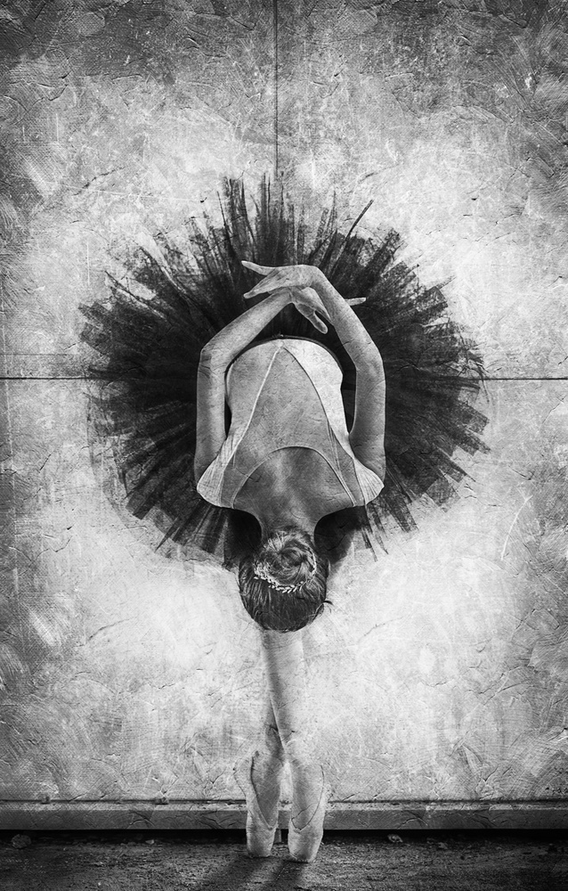 The Cassowary Dance von Sebastian Kisworo