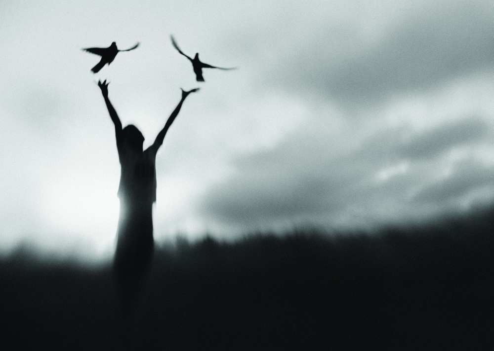 Free fly von Sebastian Kisworo