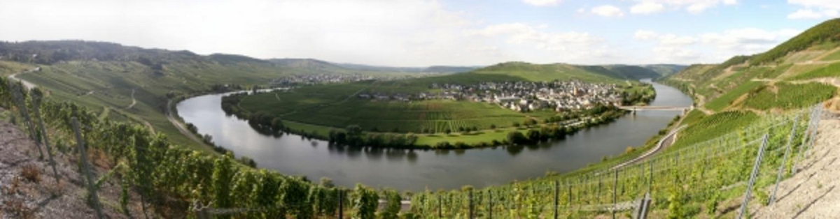 Trittenheim an der Mosel von Sebastian Wahsner