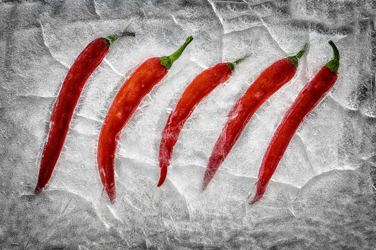 Frozen fire von Secundino Losada