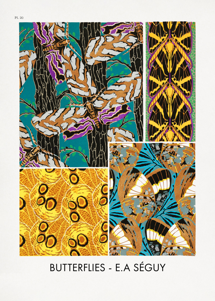 Butterflies 20 von Émile-Allain Seguy