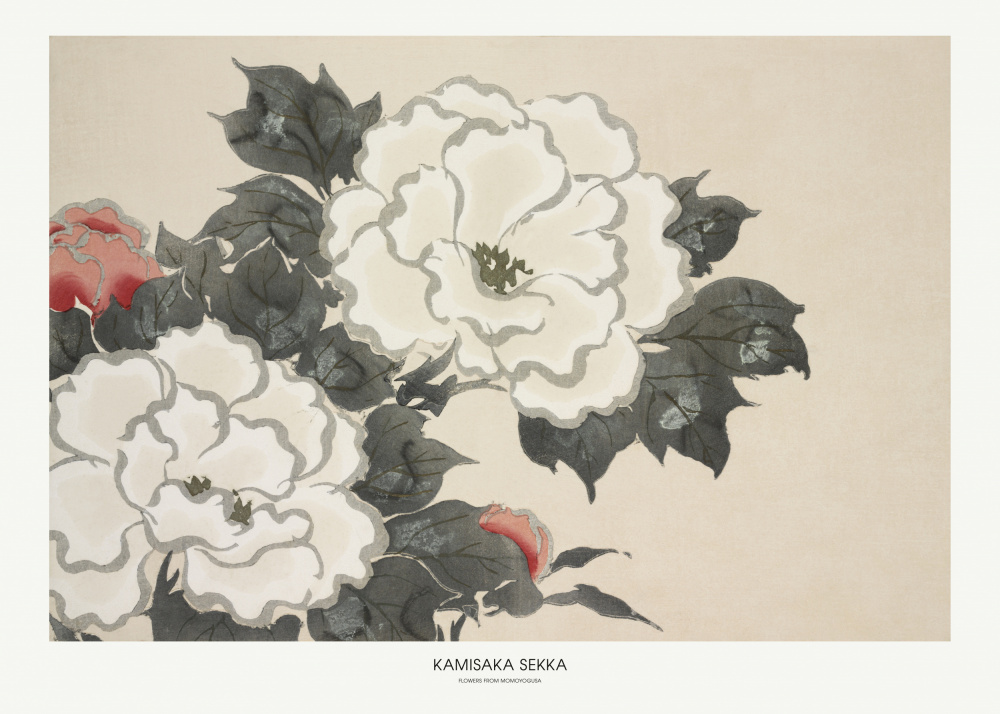 Flowers From Momoyogusa von Kamisaka Sekka