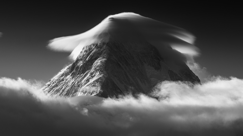 Big hat von Selions（陈磊）