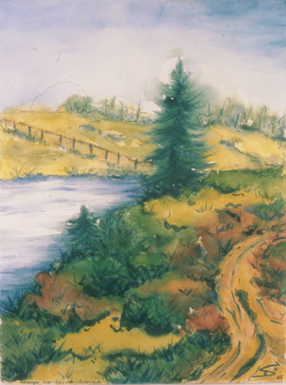 Amberger Alm in Kaernten - Oesterreich von Eva Seltmann-Reinig