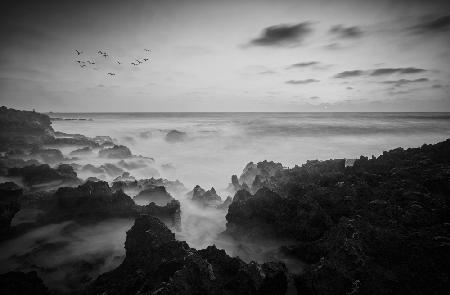 Black &amp; white calm