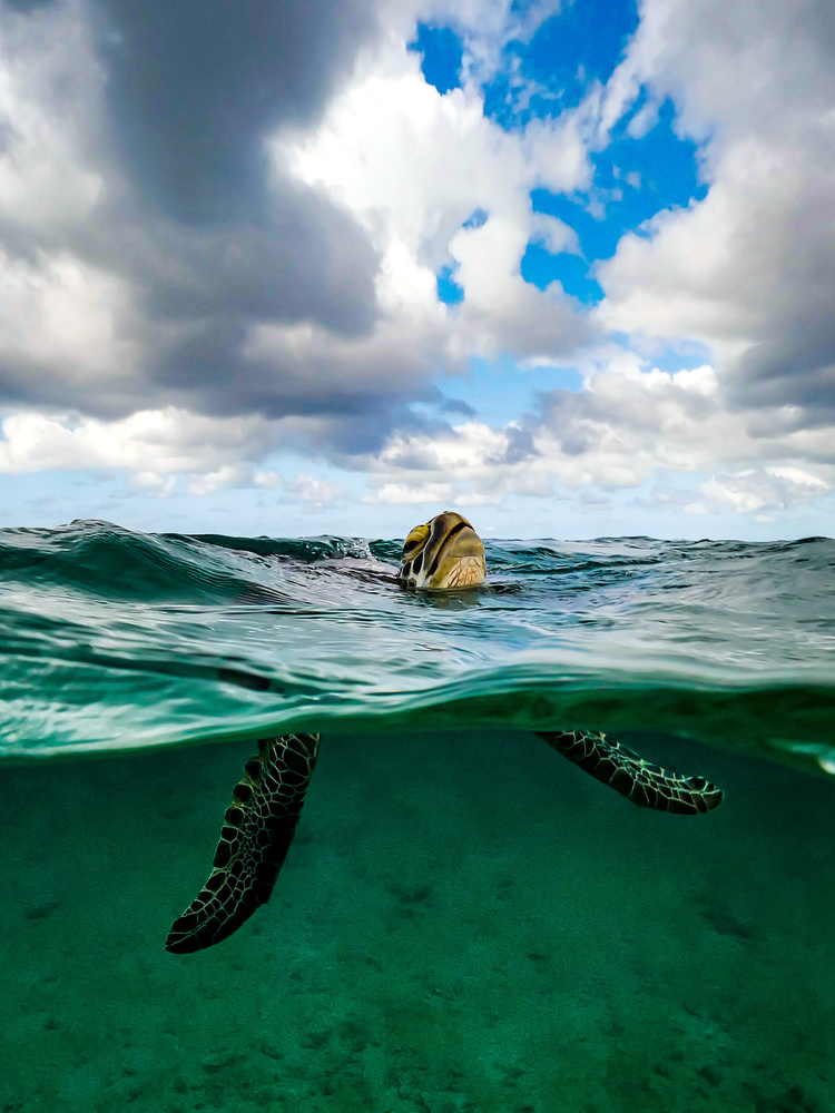Breath UW von Serge Melesan