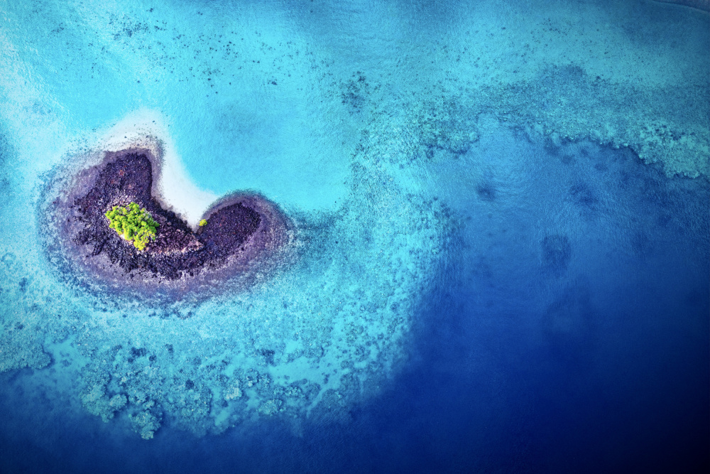 Biodiversity von Serge Melesan