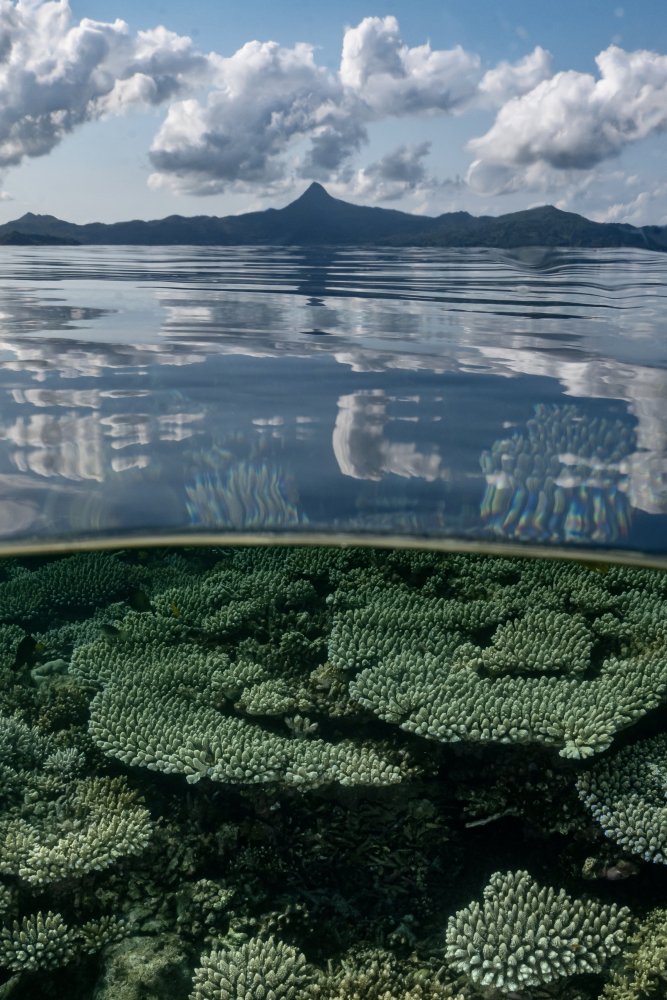 Choungui by the sea von Serge Melesan