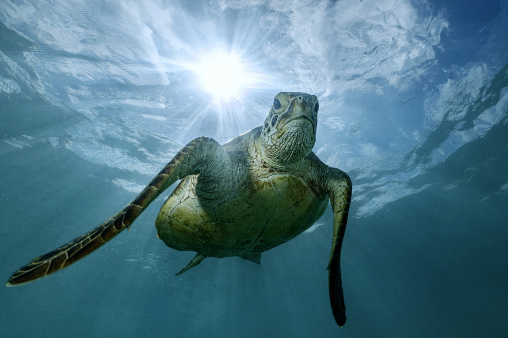 Bright von Serge Melesan