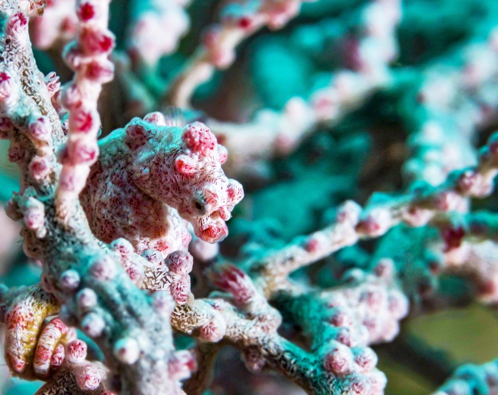 Small world von Serge Melesan