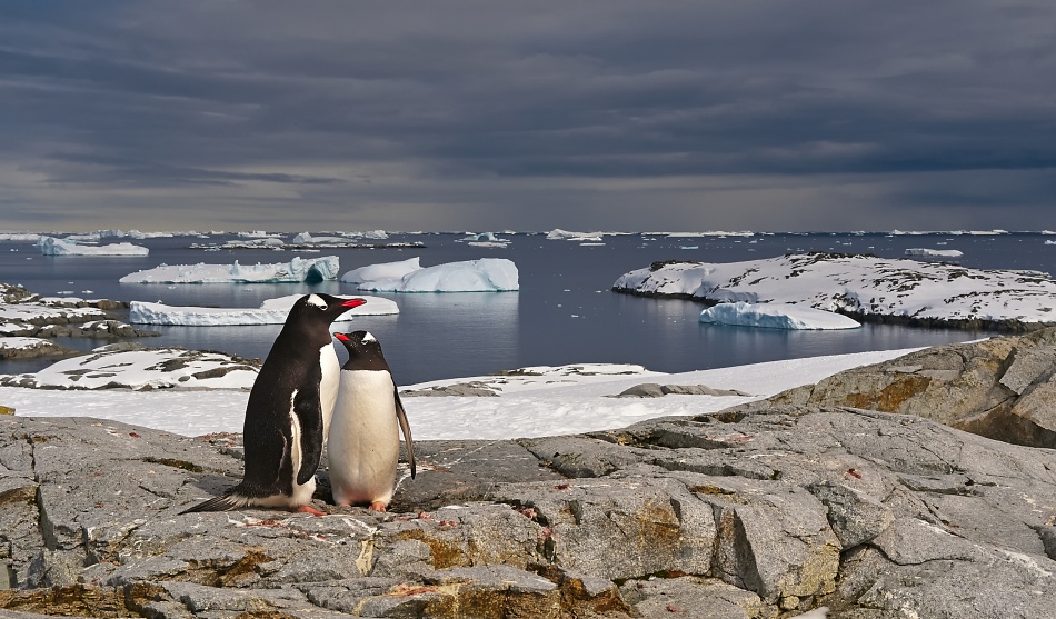 The whole world - for you von Sergey Kokinskiy