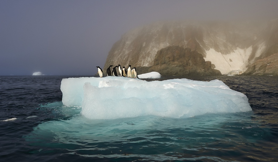 The captains von Sergey Kokinskiy