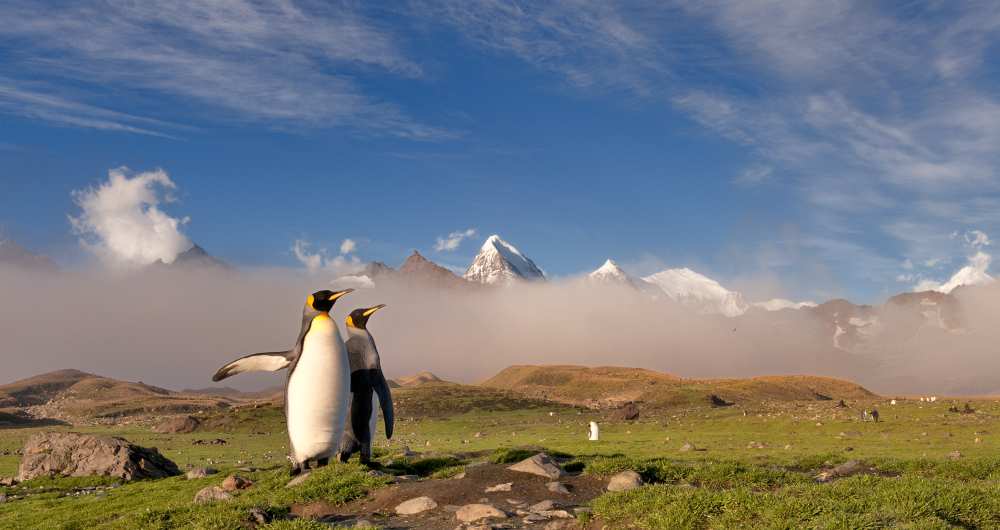 For you von Sergey Kokinskiy