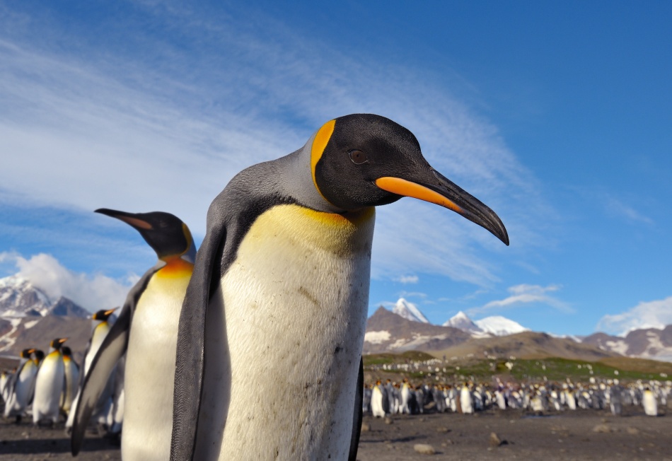 Can I meet you? von Sergey Kokinskiy