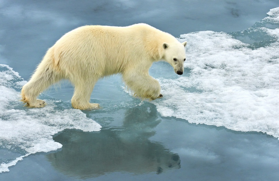 Dissatisfied von Sergey Kokinskiy