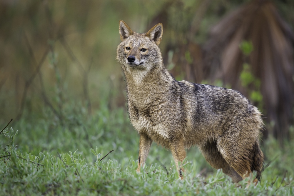 untitledl von Shahar Cohen