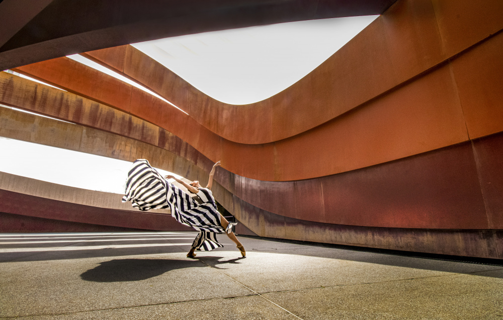 Dancing along the curve von Sharon Levy