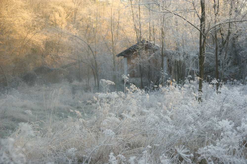 * von Sheila Bernard