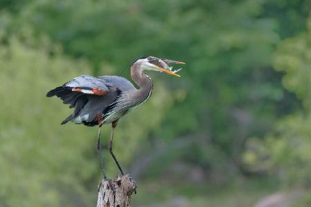 A good place to enjoy the meal