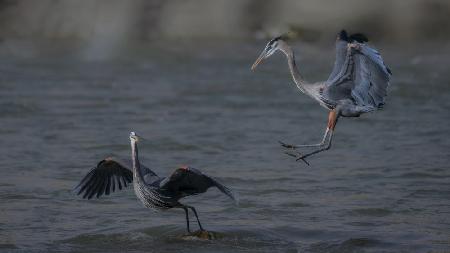 No, Not landing here!